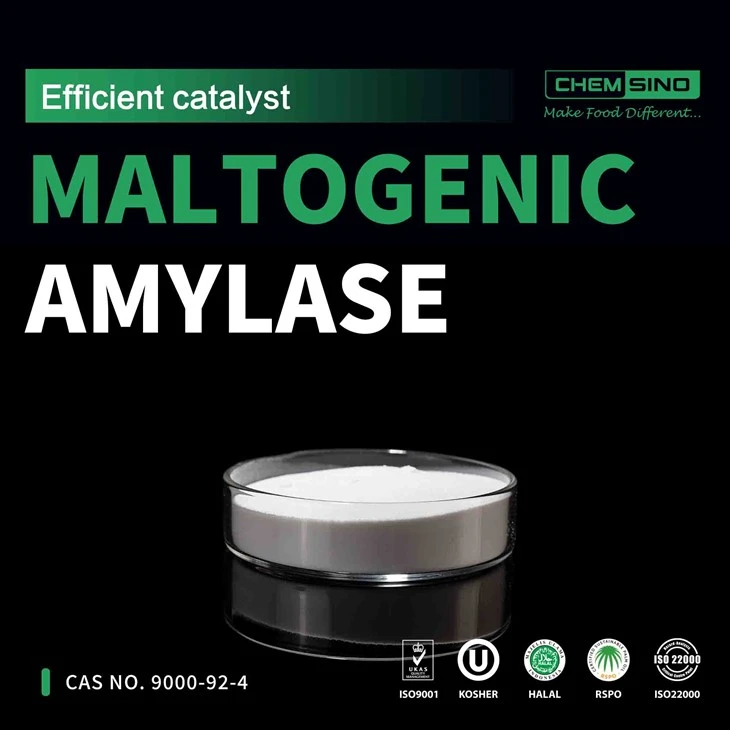 Amaláis Maltoigineach: An Aicearra Milse Go Rath na Cócaireachta! CAS UIMH. 9000-92-4