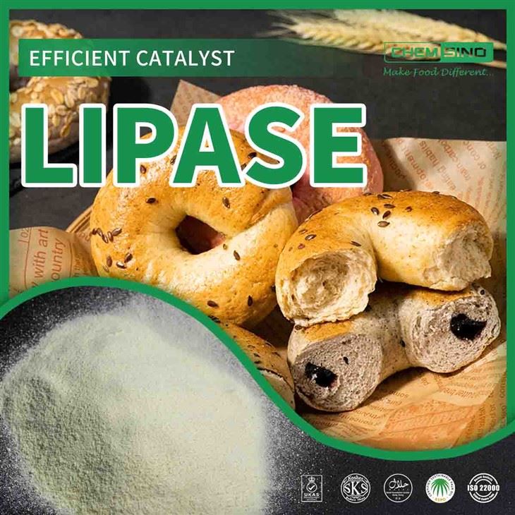 Mín i do Bhol, Tréan ar Dhíleá: Einsím Lipase CAS UIMH.:9001-62-1