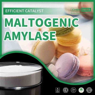 Ardaigh Próifílí Blas: Glac le Cumhacht Maltogenic Amylase.CAS UIMH. 9000-92-4
